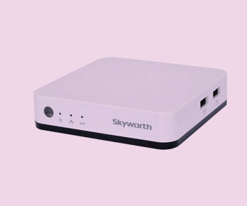 ����IP������E310